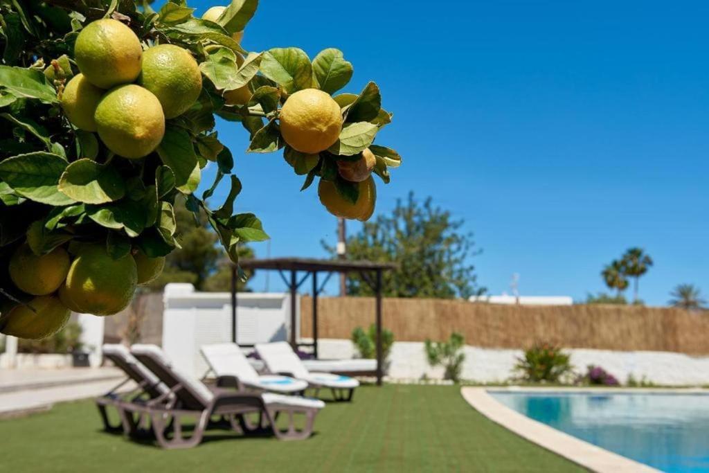 The Lovely Villa Ibiza Exteriér fotografie